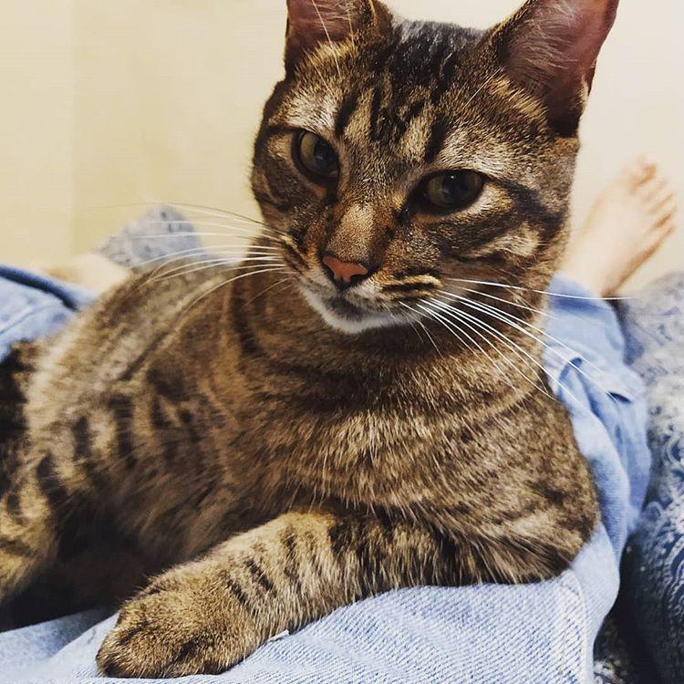 Cat 1QofNBGEu