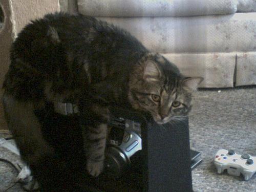 Cat 1i5