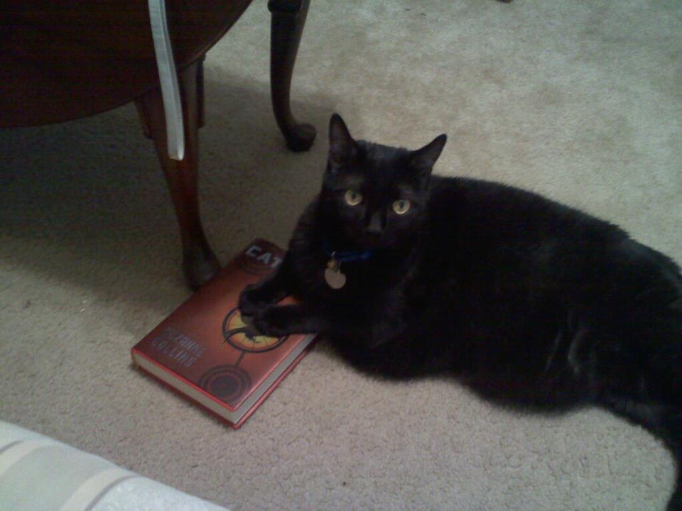 Cat 302