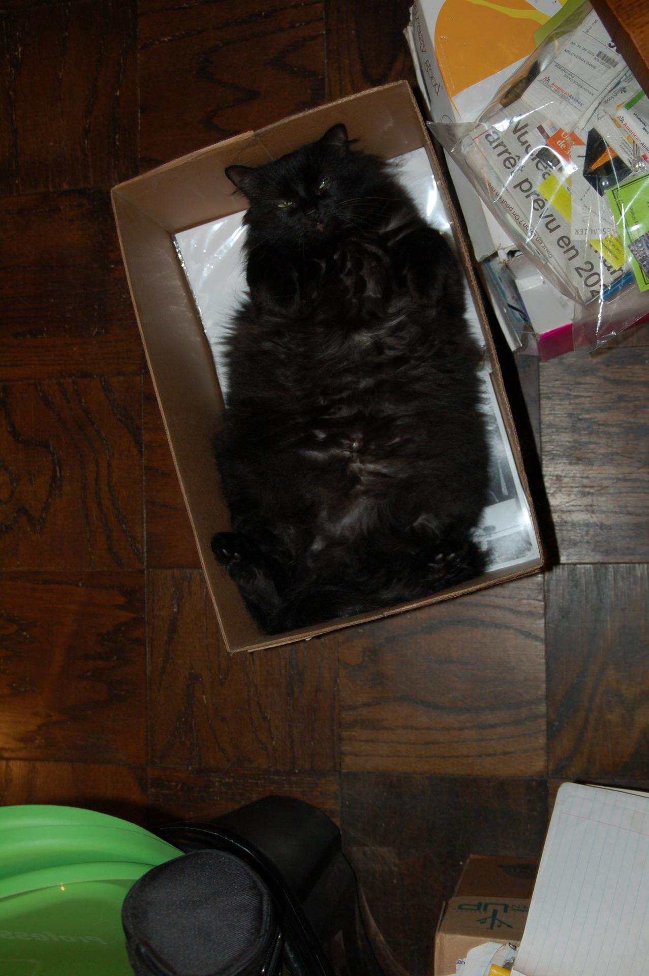 Cat 32l