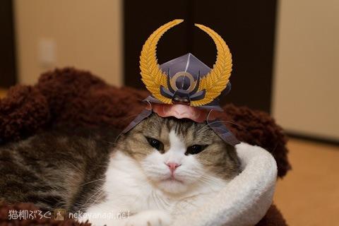 Cat 34l