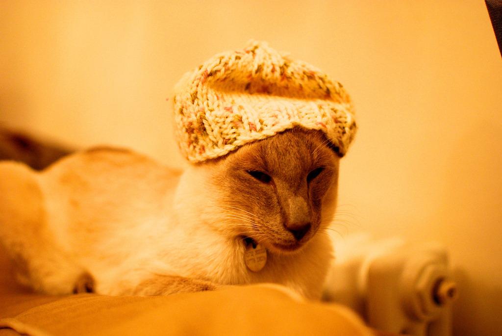 Cat 35g