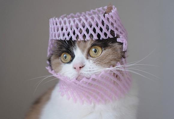 Cat 384