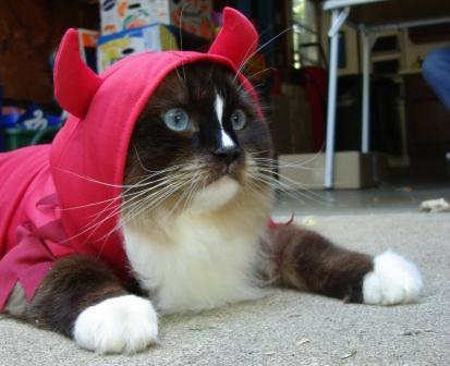 Cat 394