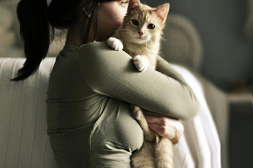 Cat 3ee