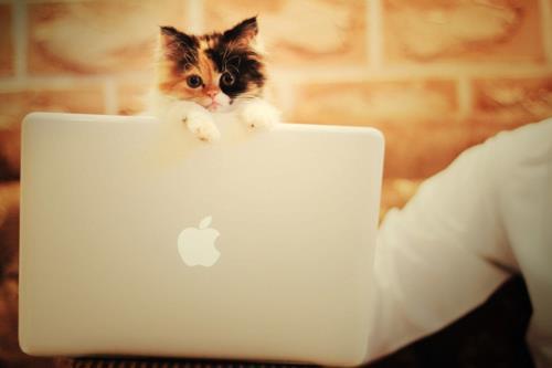 Cat 3g3