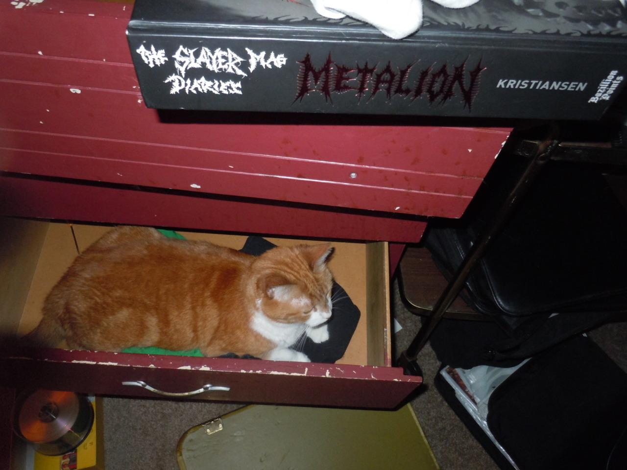 Cat 42e