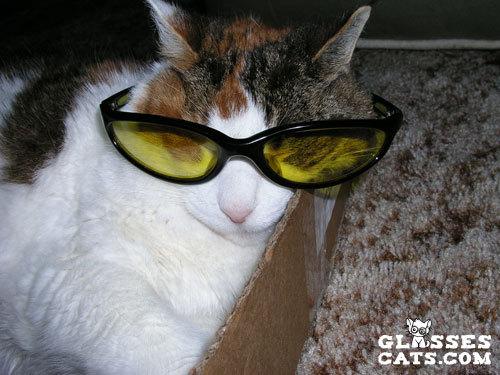 Cat 4f3