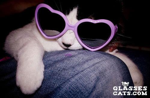 Cat 4f7