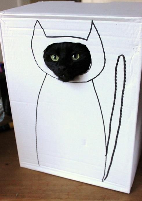 Cat 4m5