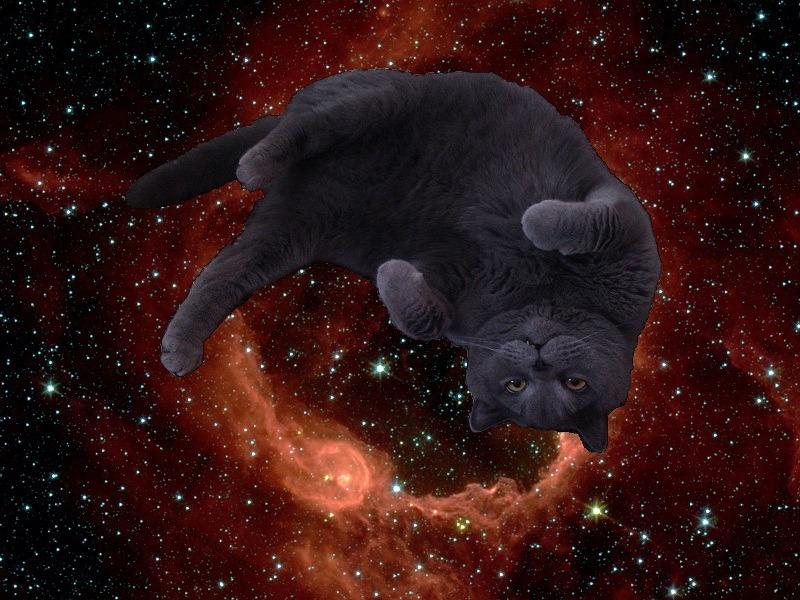 Cat 5d3