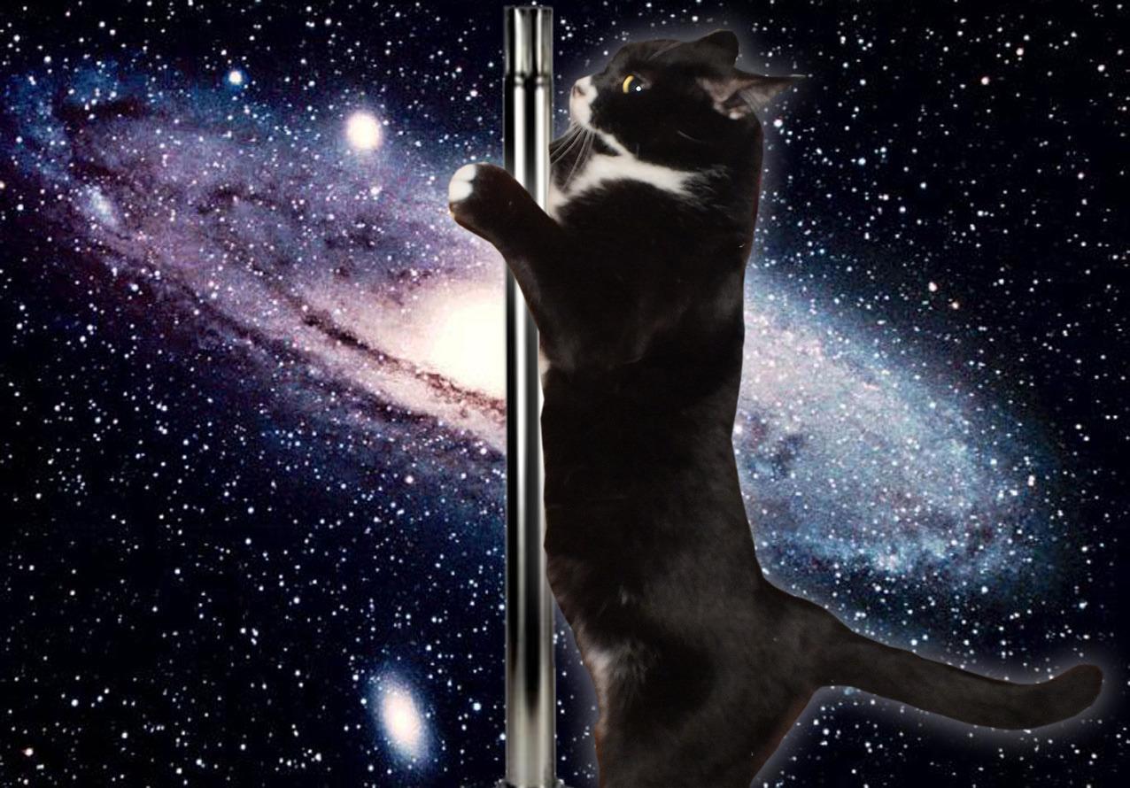 Cat 5ee