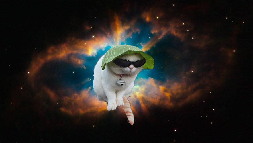 Cat 5eg