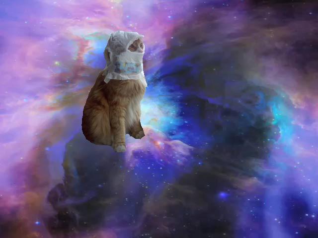 Cat 5ft
