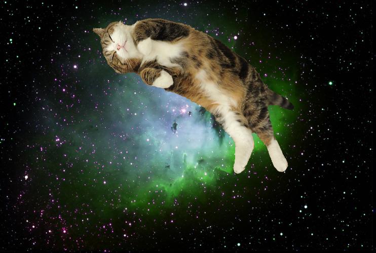 Cat 5gu