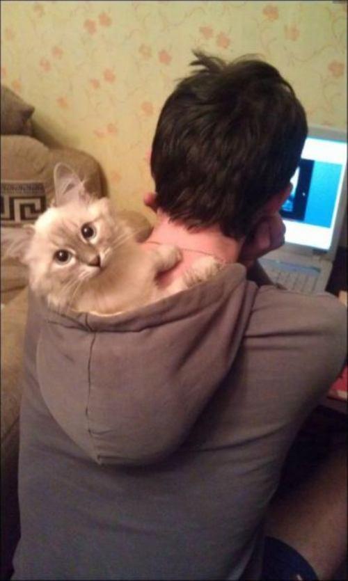 Cat 5un