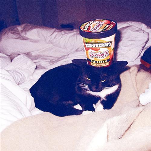 Cat 7ij