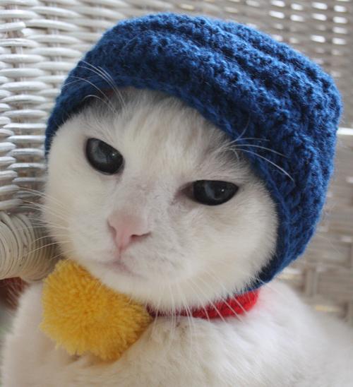Cat 9c3