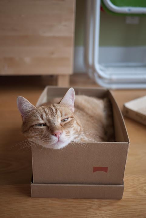 Cat MTQ5Mzk0NQ