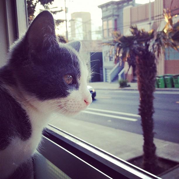 Cat MTU3Mzk5Mw