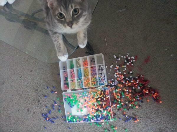 Cat MTU5ODQ4OQ