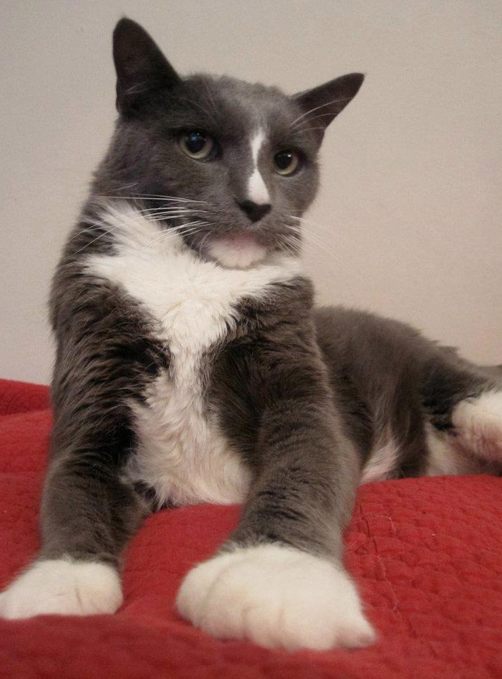 Cat MTUxNjk5MQ