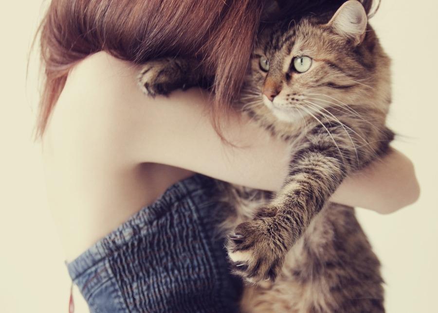 Cat MTUxODAyOQ