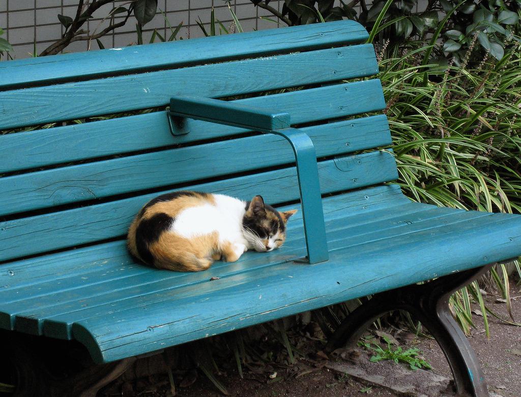 Cat MTY5NTM2Mg