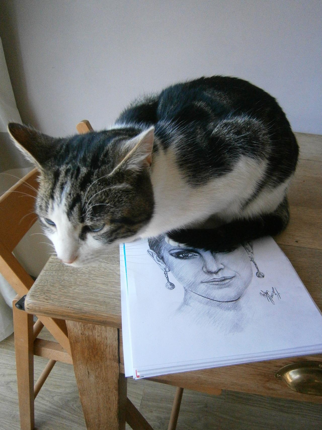 Cat MTYwNDE0MQ