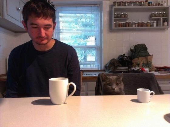 Cat MTYwODEwMg
