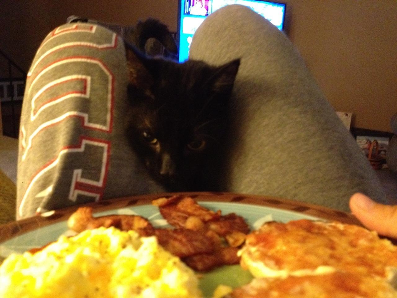 Cat MTYzMDE5Mg