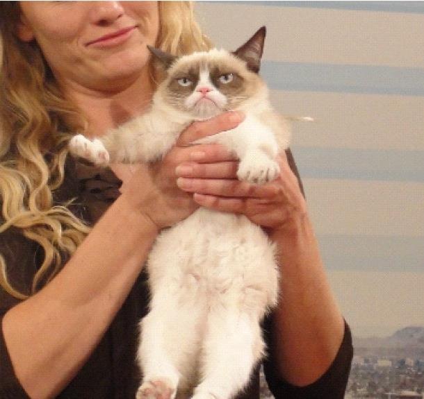 Cat MTYzMzQ3NQ