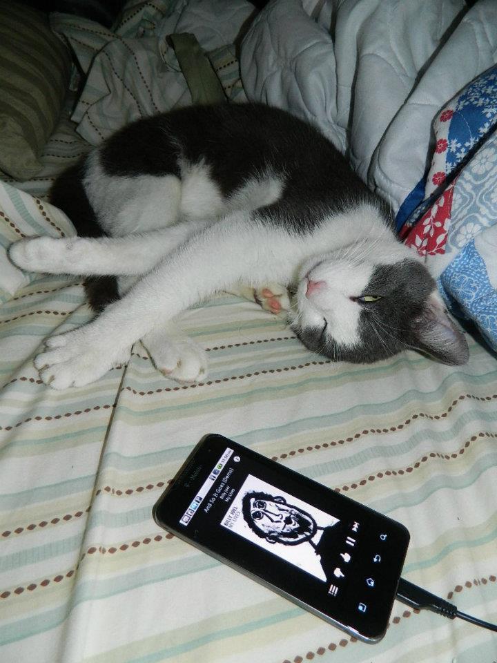 Cat MTYzNTg1Ng