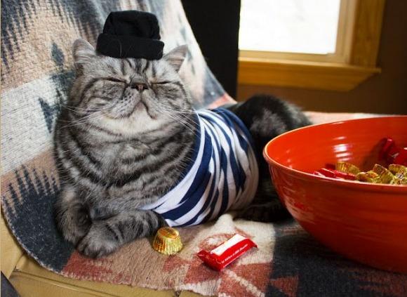 Cat MTc0MzI1OA