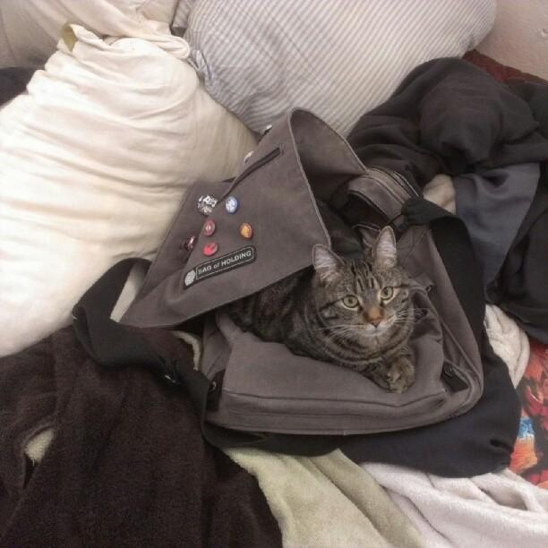 Cat MTc0OTIyNA