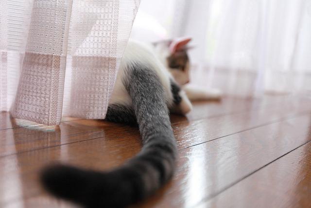 Cat MTc1ODk0OQ