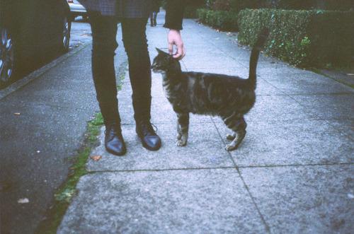 Cat MTc3NTQxNw