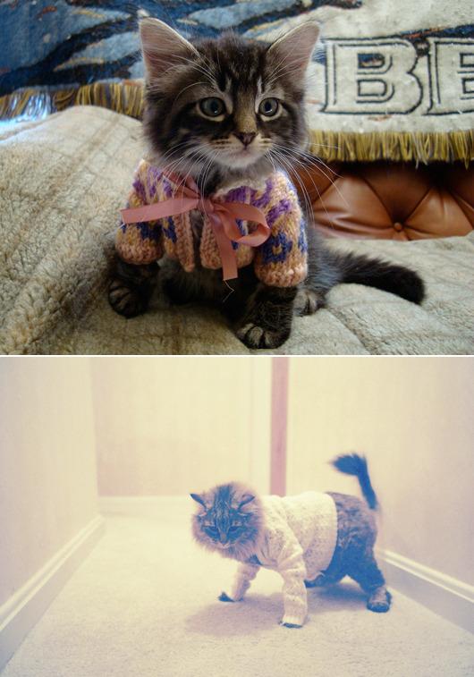 Cat MTc4ODY2Mw