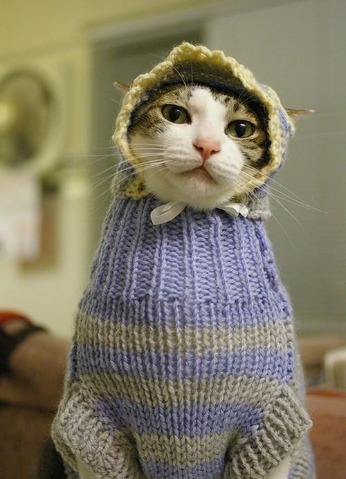 Cat MTc5ODQxOQ