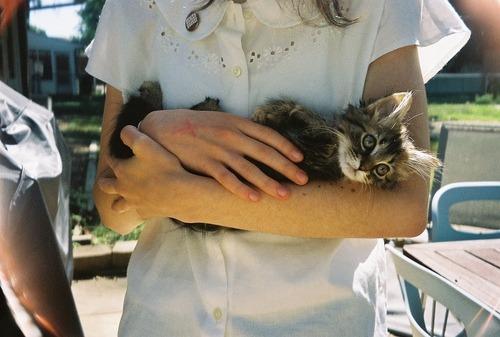 Cat MTczNTkwNA