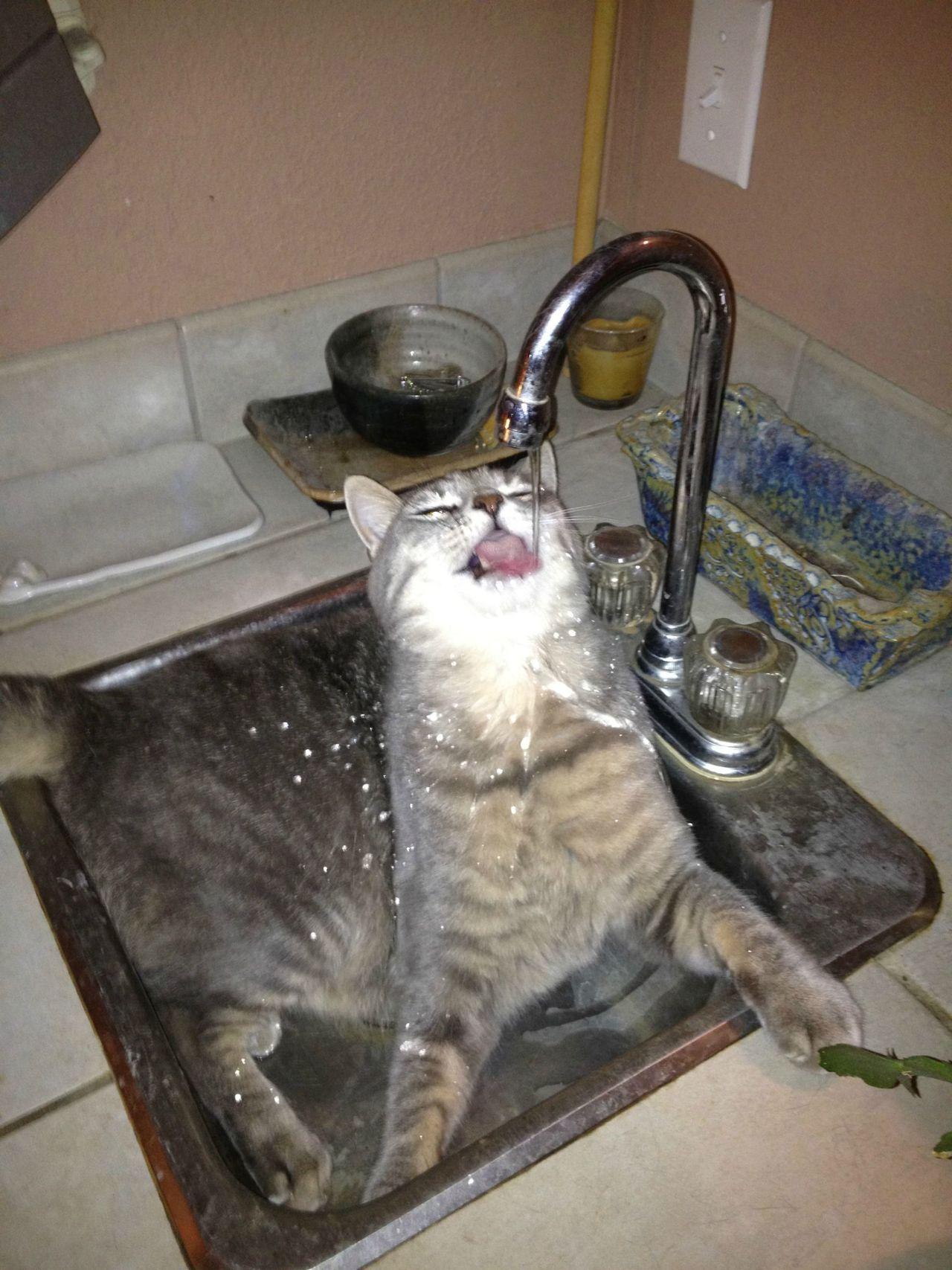 Cat MTg1MTQwMQ