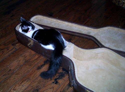 Cat MTg2NTc0MQ