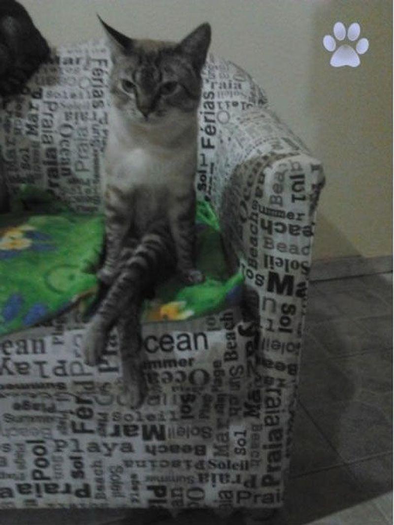 Cat MTg3NTk3Nw