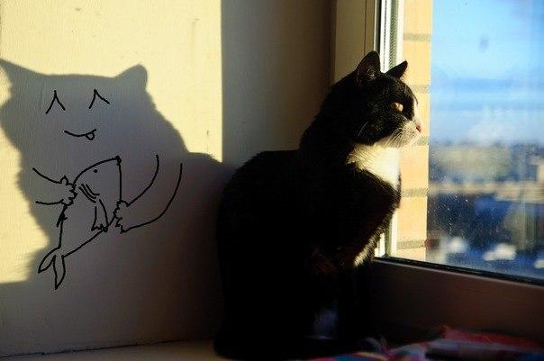 Cat MTg5MTk4MA