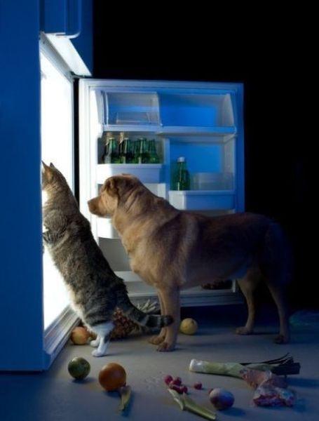 Cat MTg5Mjc5NQ