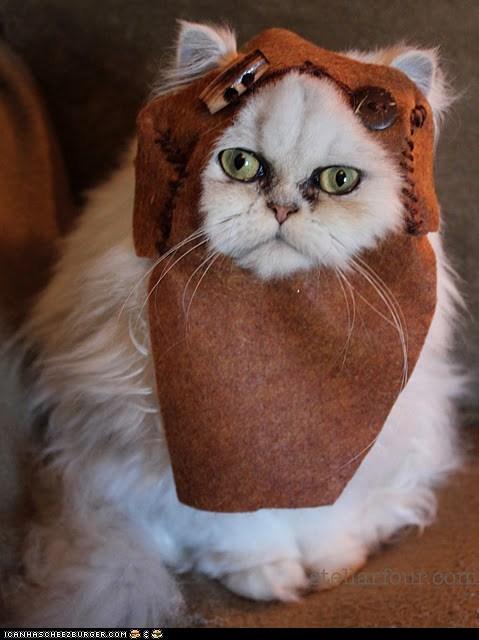 Cat MTgwNTYxMg