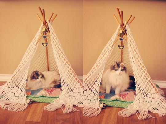 Cat MTkwMDAxMw
