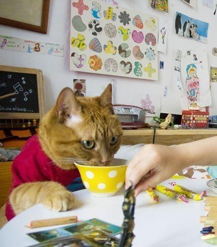 Cat MTkyMjg3MQ
