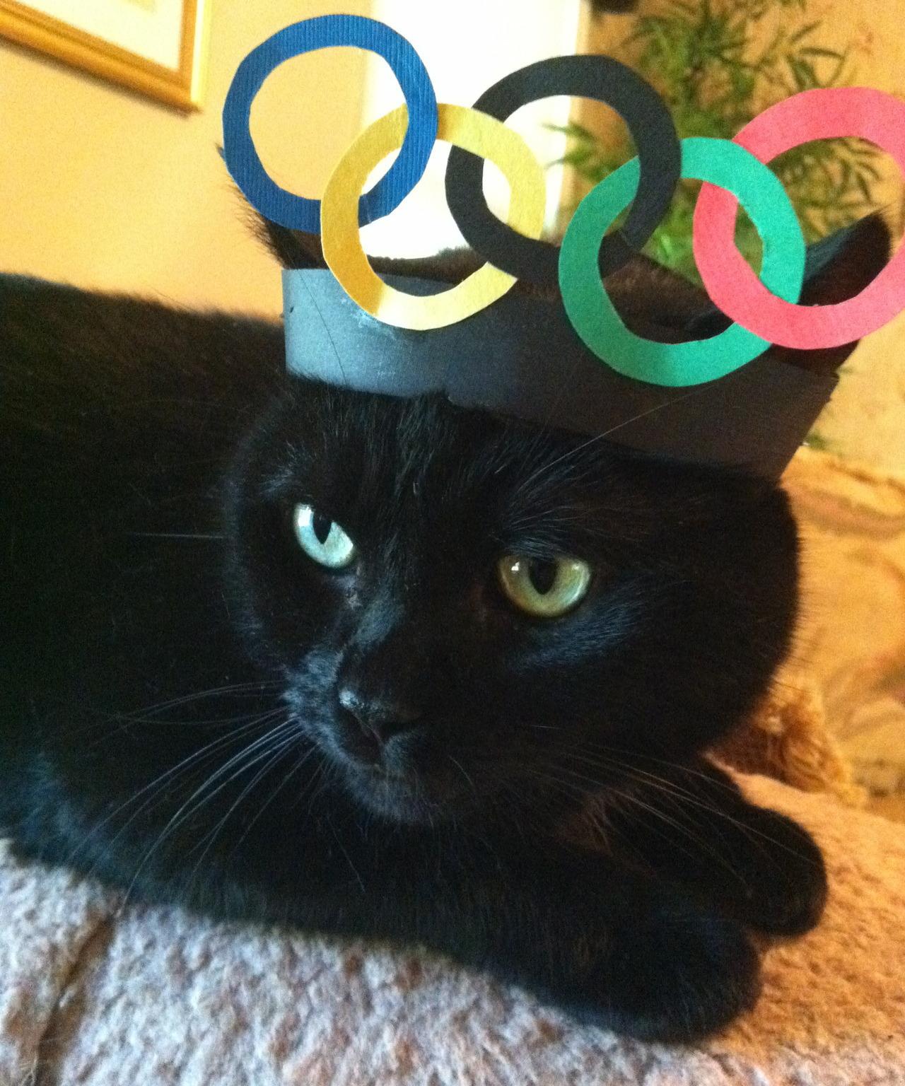 Cat MTkyMzUxMA