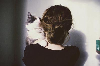 Cat MTkzNjg0Ng